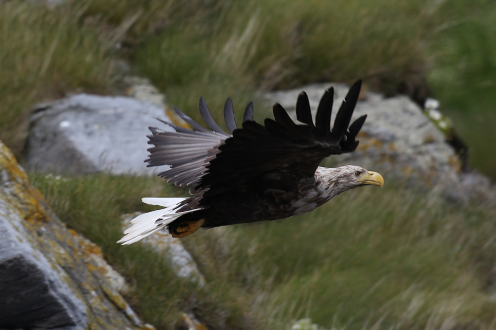 Viagem ao Norte da Grécia