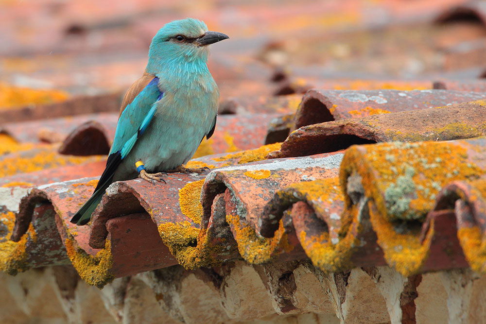 Sobre os Tours Privados